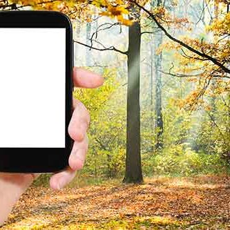 en hånd holder en mobiltelefon og i baggrunden ses en skov