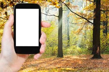 en hånd holder en mobiltelefon og i baggrunden ses en skov