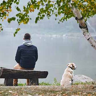 mand på bænk og hund kigger ud over sø