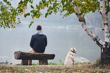 mand på bænk og hund kigger ud over sø